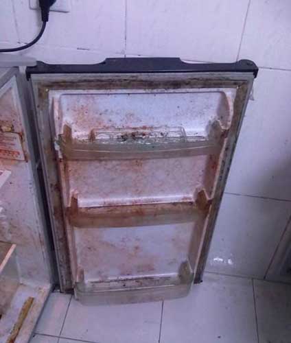 臟冰箱460.jpg